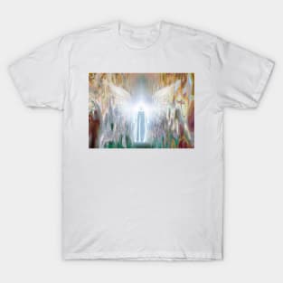 Soul ascension T-Shirt